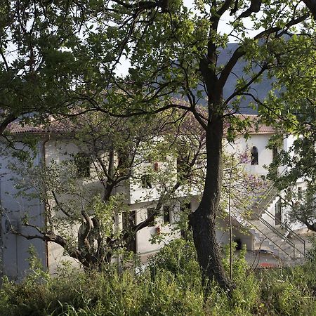 Kavoulakos Studios Σκουτάρι Εξωτερικό φωτογραφία