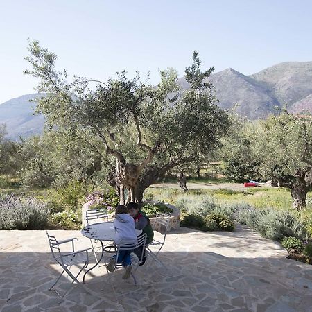 Kavoulakos Studios Σκουτάρι Εξωτερικό φωτογραφία