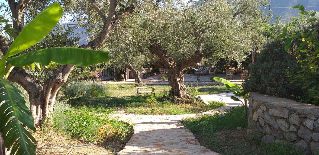 Kavoulakos Studios Σκουτάρι Εξωτερικό φωτογραφία