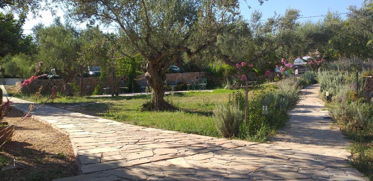 Kavoulakos Studios Σκουτάρι Εξωτερικό φωτογραφία