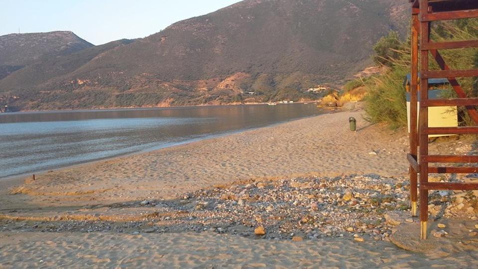 Kavoulakos Studios Σκουτάρι Εξωτερικό φωτογραφία