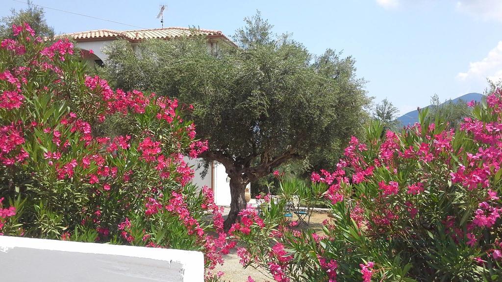 Kavoulakos Studios Σκουτάρι Εξωτερικό φωτογραφία