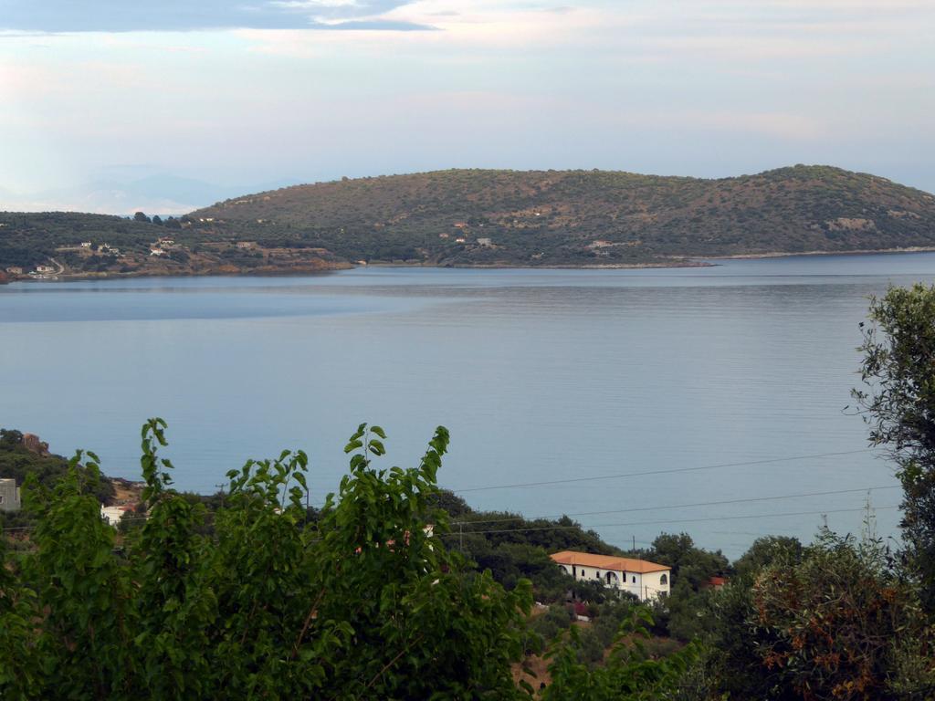 Kavoulakos Studios Σκουτάρι Εξωτερικό φωτογραφία